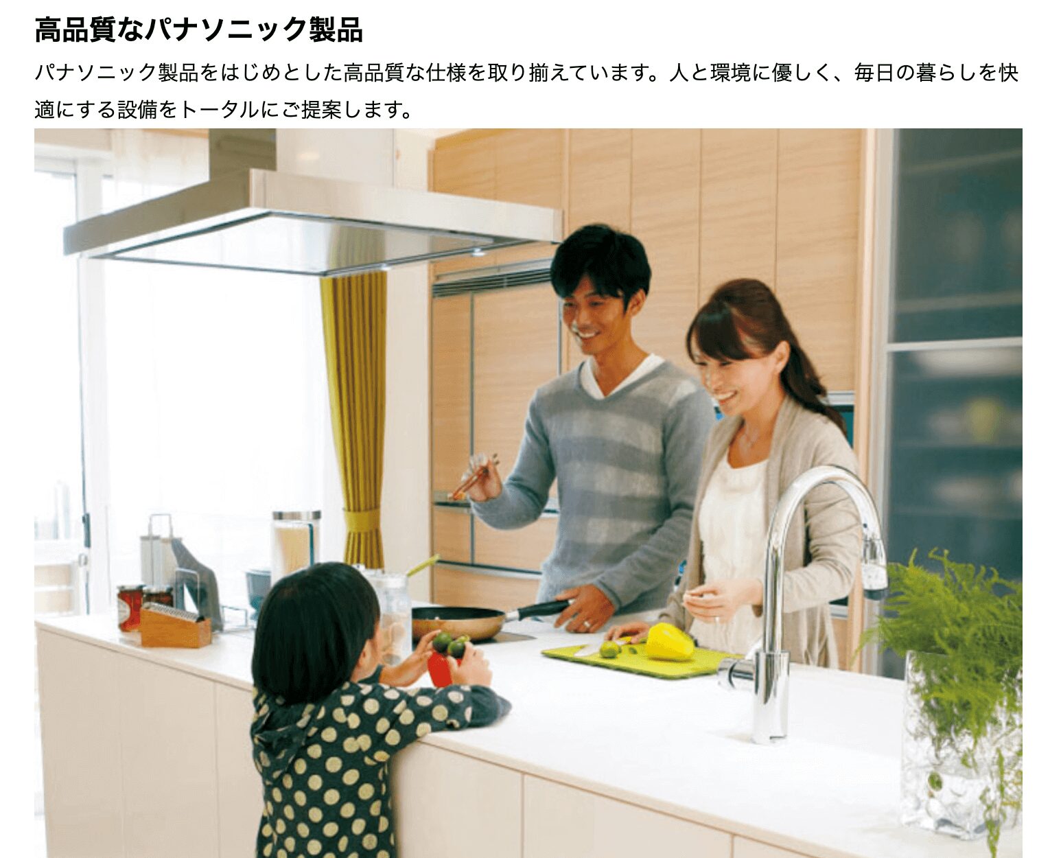 エースハウスの画像4